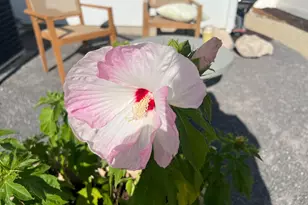 2837 S Greenhead Dr, Saratoga Springs, UT 84045 - Photo 45