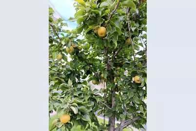 2292 S 2060 W, Woods Cross, UT 84087 - Photo 45