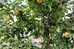 2292 S 2060 W, Woods Cross, UT 84087 - Photo 45