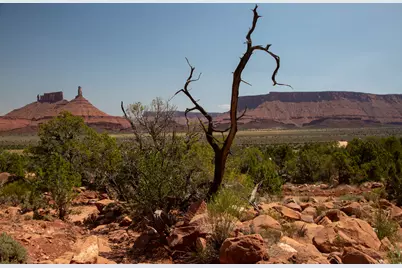 343 Taylor Ln #343, Castle Valley, UT 84532 - Photo 33