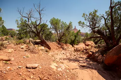 343 Taylor Ln #343, Castle Valley, UT 84532 - Photo 5