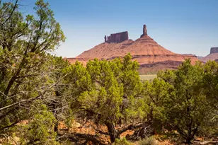 343 Taylor Ln, Castle Valley, UT 84532 - Photo 1