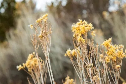 310 S Maryfield Dr #307, Salt Lake City, UT 84108 - Photo 21