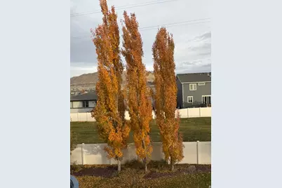 15103 S Pledge Dr, Bluffdale, UT 84065 - Photo 15