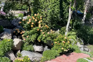 1921 Mohawk Ln, Ogden, UT 84403 - Photo 67