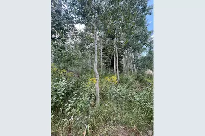 2102 S Uintah View Dr #61, Coalville, UT 84017 - Photo 5