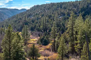 6 S N Frk Rd, Orderville, UT 84758 - Photo 21