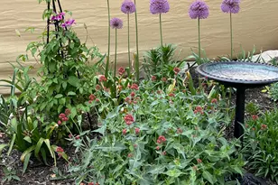 380 E 1500 S, Bountiful, UT 84010 - Photo 39