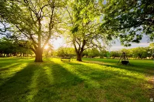 0, Hanksville, UT 84734 - Photo 5