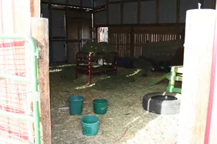 5868 N Dry Fork Canyon Rd W, Vernal, UT 84078 - Photo 45