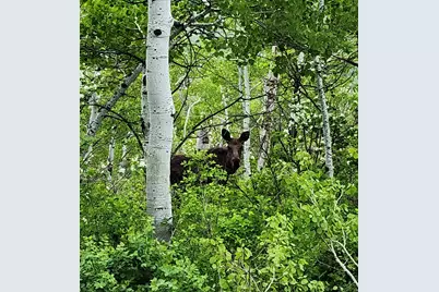156 Mountain Vw #156, Oakley, UT 84055 - Photo 13