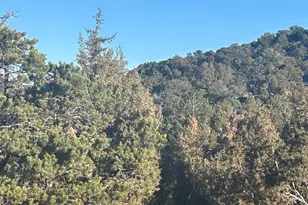 [Address not provided], Fruitland, UT 84027 - Photo 1