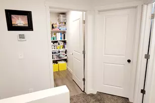 281 W Spruce Way N, Santaquin, UT 84655 - Photo 19