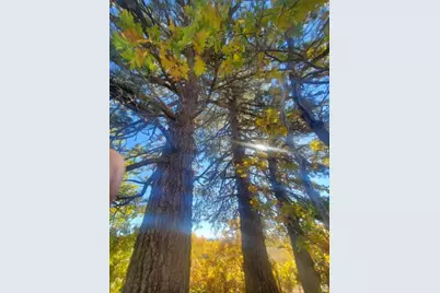 248 N Spring Dr, Springdale, UT 84767 - Photo 5