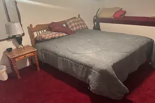 305 S Ylincheta Ln, Manila, UT 84046 - Photo 13