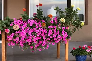 1095 E Canyon Dr, Big Water, UT 84741 - Photo 33