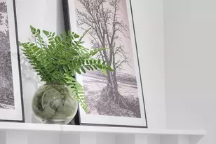 1336 N Talmage Ln, Logan, UT 84321 - Photo 23