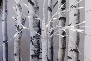 1237 E Cactus Dr, Apple Valley, UT 84737 - Photo 31