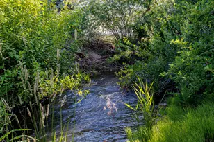 1620 W 750 N, Vernal, UT 84078 - Photo 11