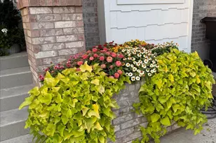 4496 Cottonwood Dr, Pleasant View, UT 84414 - Photo 57