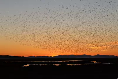 113 N 4950 W, West Point, UT 84015 - Photo 47