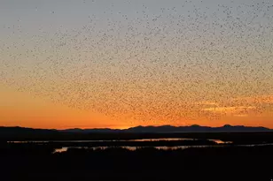 113 N 4950 W, West Point, UT 84015 - Photo 47