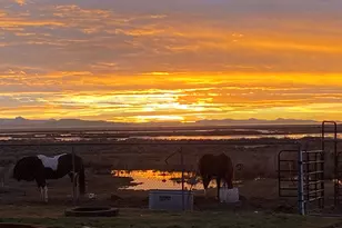 113 N 4950 W, West Point, UT 84015 - Photo 57