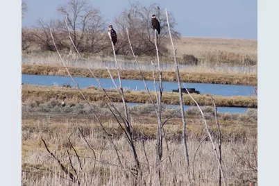 113 N 4950 W, West Point, UT 84015 - Photo 43