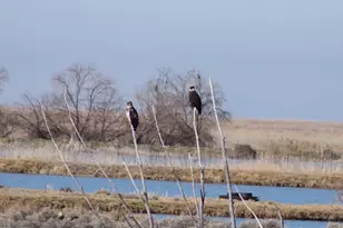 113 N 4950 W, West Point, UT 84015 - Photo 43