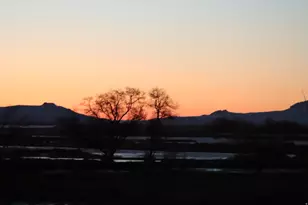 113 N 4950 W, West Point, UT 84015 - Photo 47