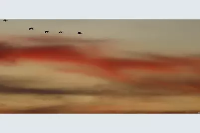 113 N 4950 W, West Point, UT 84015 - Photo 43