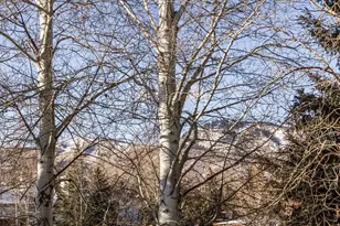 179 Racquet Dr, Park City, UT 84060 - Photo 7