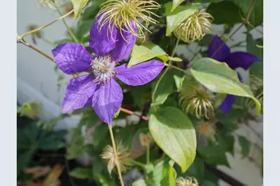 920 E Queensmill Ln, Salt Lake City, UT 84106 - Photo 43