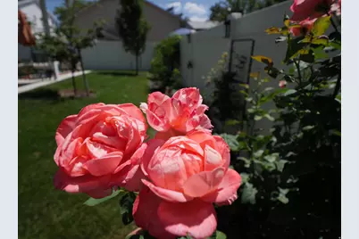 920 E Queensmill Ln, Salt Lake City, UT 84106 - Photo 41