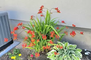 3243 E Spring, Eagle Mountain, UT 84005 - Photo 33