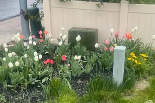 3488 E Fairway Ln S, Spanish Fork, UT 84660 - Photo 3