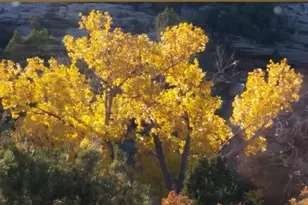 675 W 950 N, Blanding, UT 84511 - Photo 19