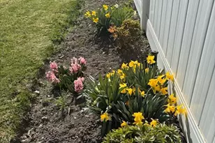 315 S Bear Lake Blvd, Garden City, UT 84028 - Photo 65