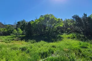 11905 E 24560 N, Fairview, UT 84629 - Photo 9