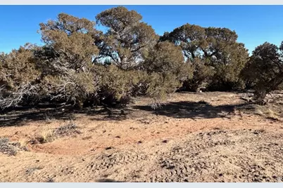 [Address not provided], Roosevelt, UT 84066 - Photo 15