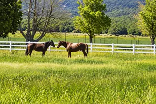 622 E Hwy 144 E, New Harmony, UT 84757 - Photo 81
