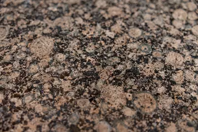 9274 N 8500 E, Tridell, UT 84076 - Photo 11