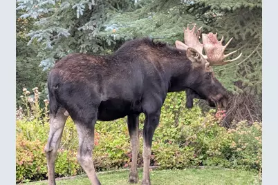 8807 N Timphaven Rd E, Sundance, UT 84604 - Photo 79