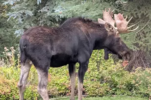 8807 N Timphaven Rd E, Sundance, UT 84604 - Photo 79