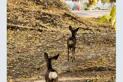 711 E 400 N, Springville, UT 84663 - Photo 33