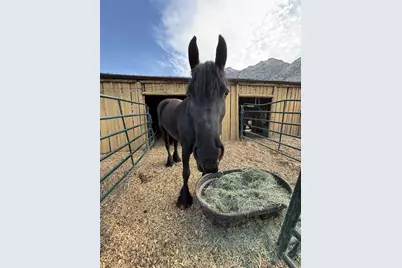 711 E 400 N, Springville, UT 84663 - Photo 21