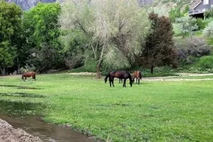 711 E 400 N, Springville, UT 84663 - Photo 29