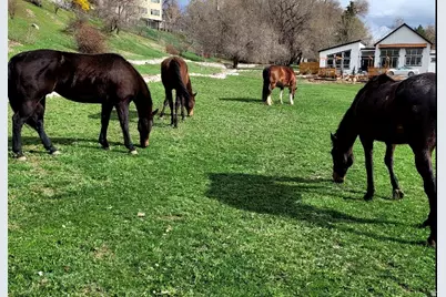 711 E 400 N, Springville, UT 84663 - Photo 35