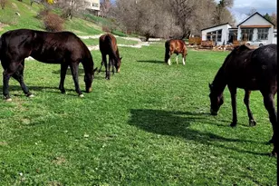 711 E 400 N, Springville, UT 84663 - Photo 35