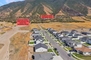 3715 S White Ash Dr, Mapleton, UT 84664 - Photo 35